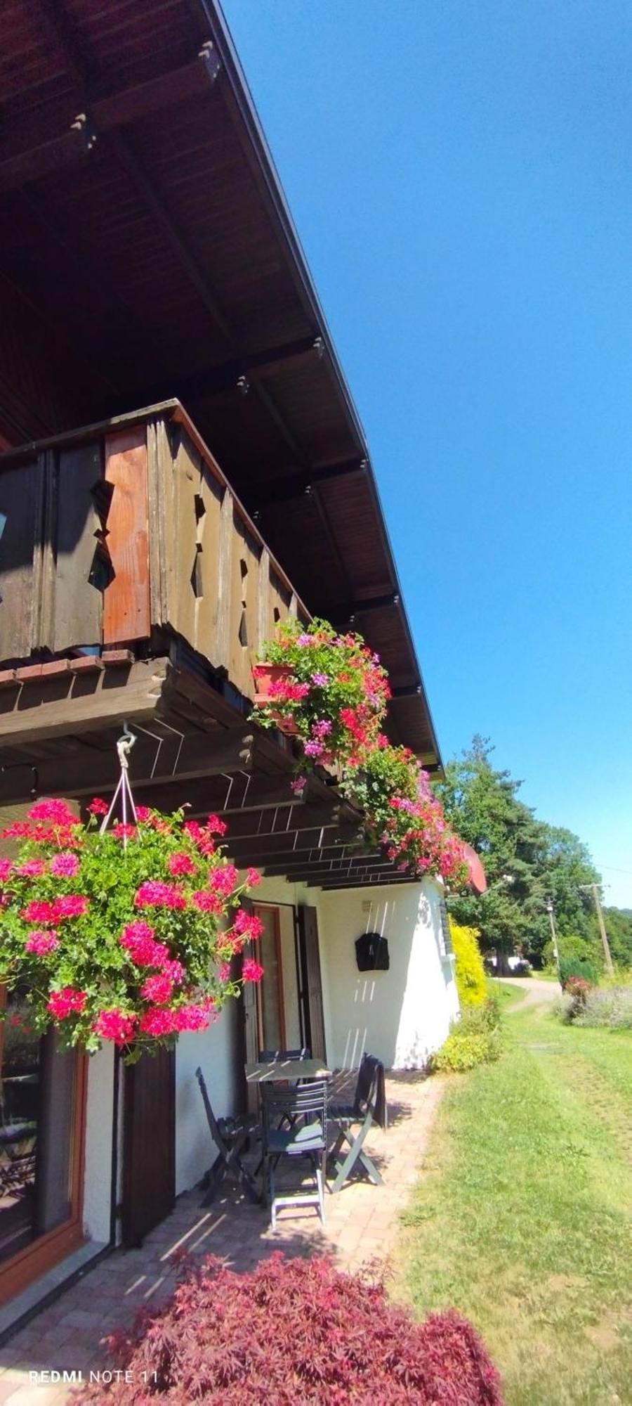 Chalet Au Bois Des Ecureuils Classe Trois Etoiles. Muhlbach-sur-Munster Exterior photo
