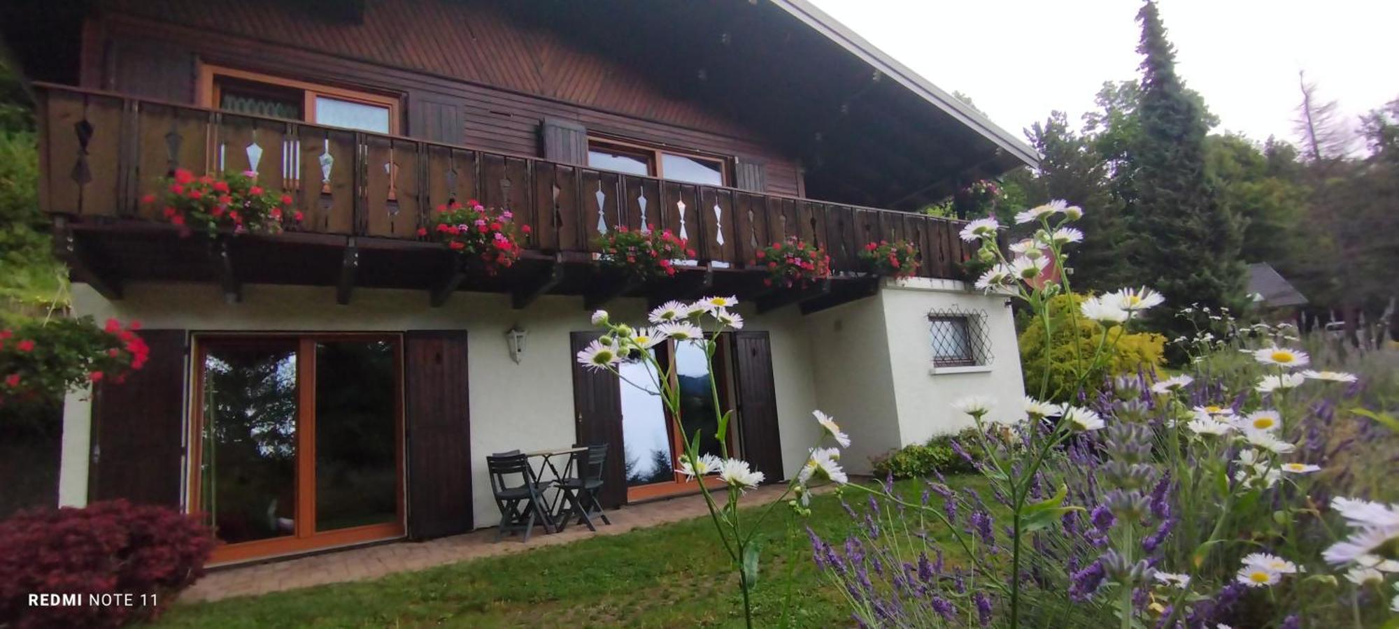 Chalet Au Bois Des Ecureuils Classe Trois Etoiles. Muhlbach-sur-Munster Exterior photo